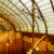 Visita a 4 edificios Art Nouveau diseñados por Victor Horta en Bruselas
