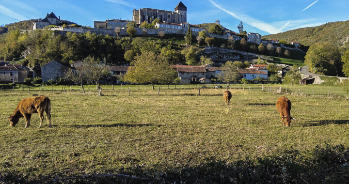 Saint-Bertrand-de-Comminges: Un Viaje a Través de la Historia en un carrete de 24 fotografías