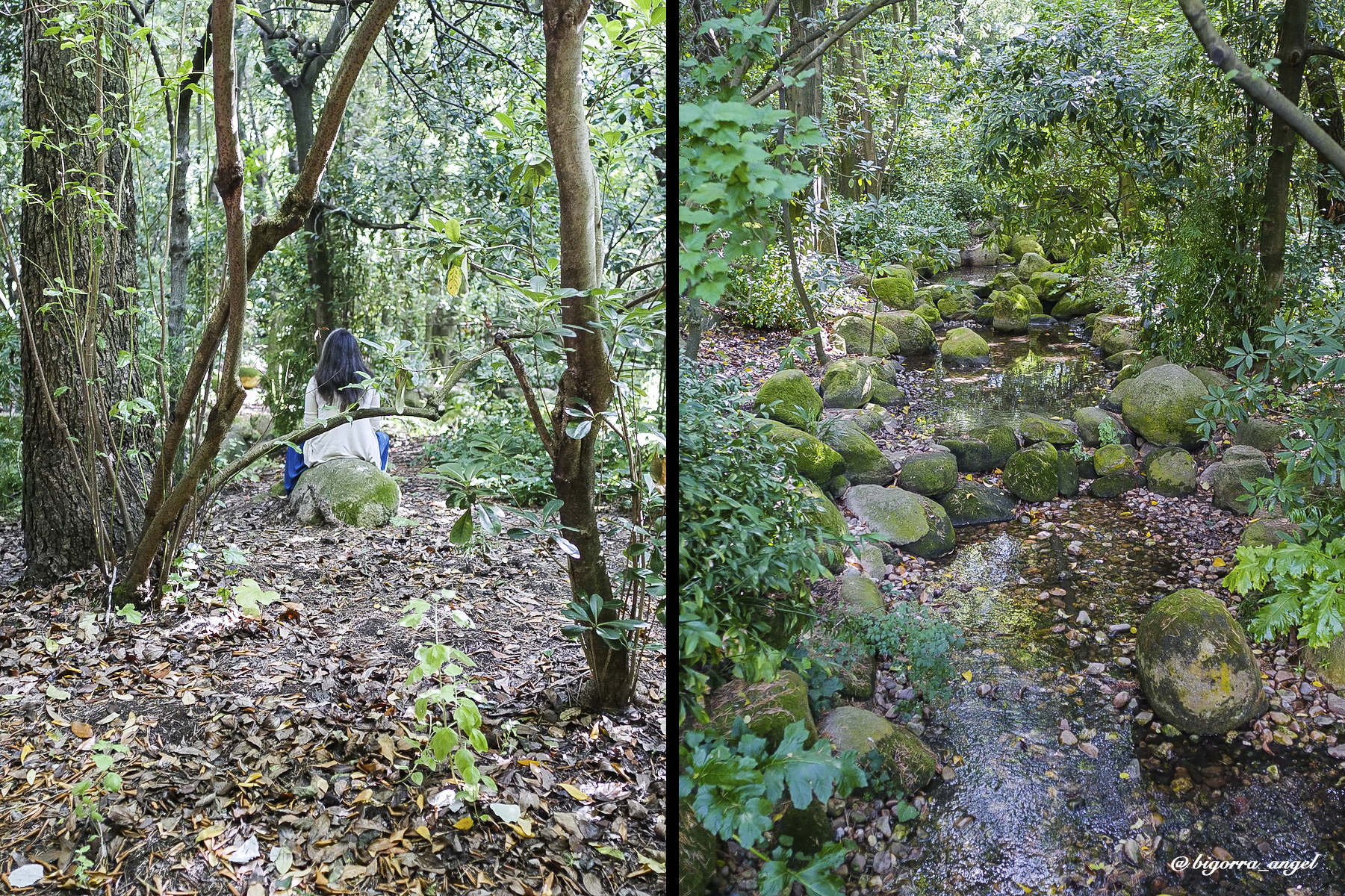 Jardines Museo Calouste Gulbenkian