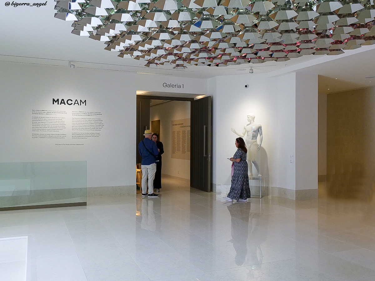 MACAM – Museo de Arte Contemporáneo Armando Martins