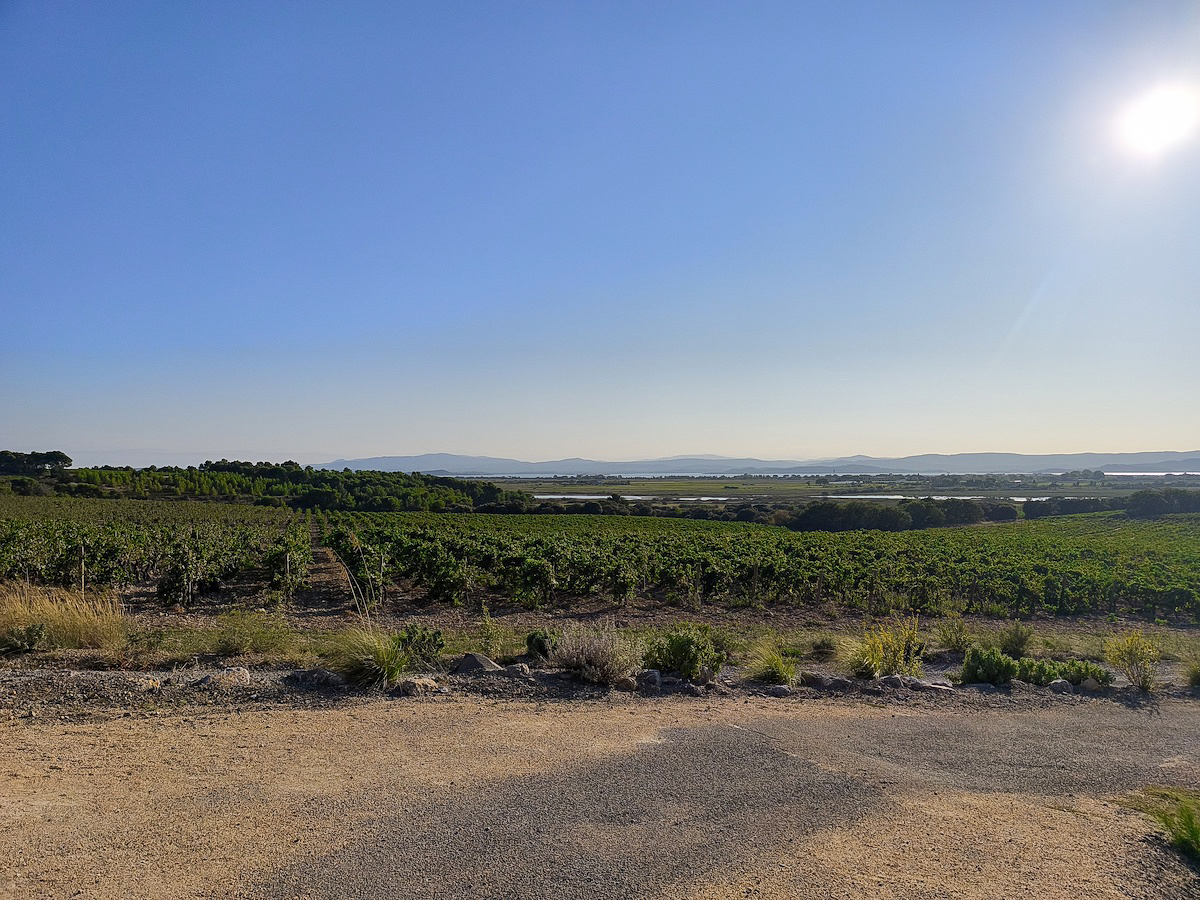 Château Capitoul laguna