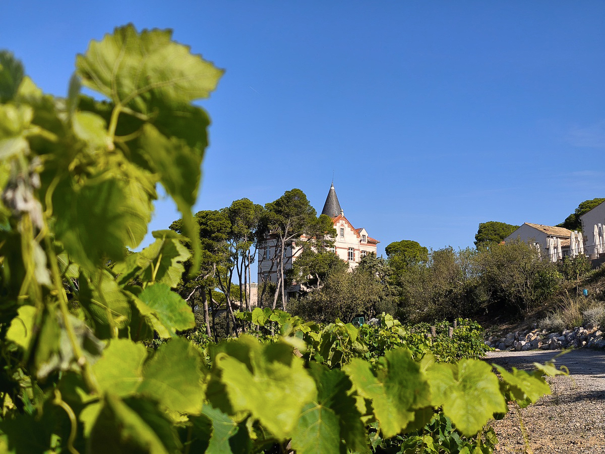 Château Capitoul: exclusividad y encanto en un mar de viñedos