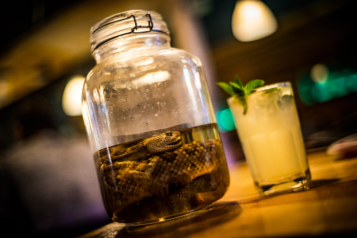 Gastronomia en Chihuahua Sotol